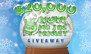 A chance to win the Top Prize of $5,000 in the $20,000 Snow Me The Money Giveaway!